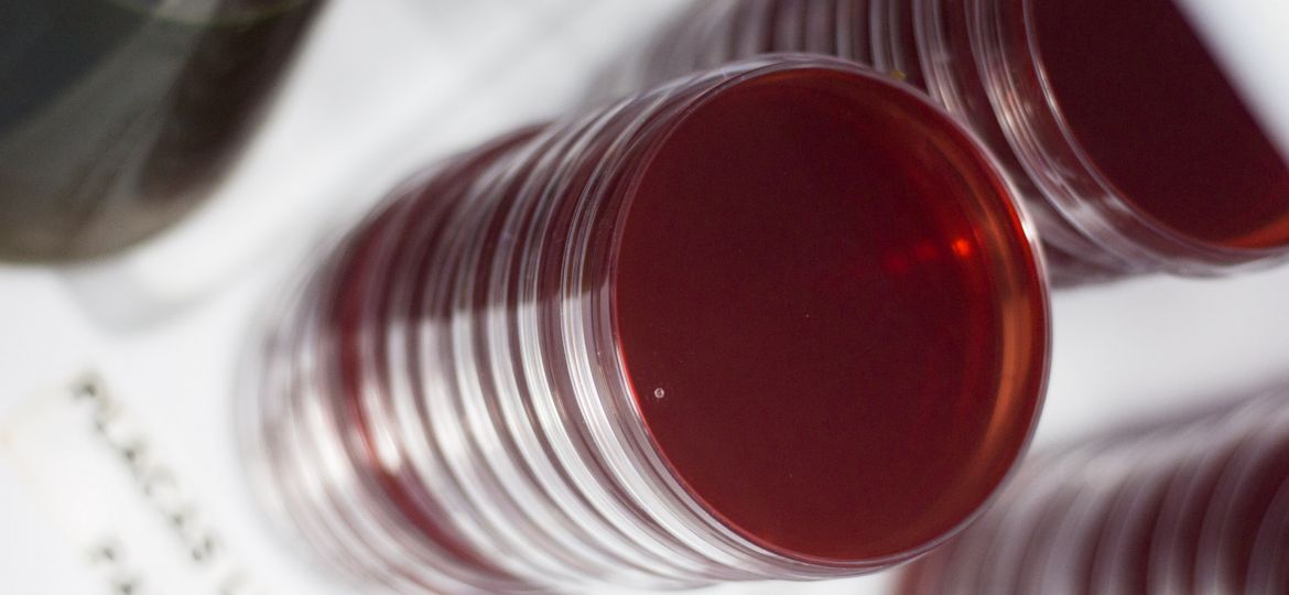 laboratorio de análisis