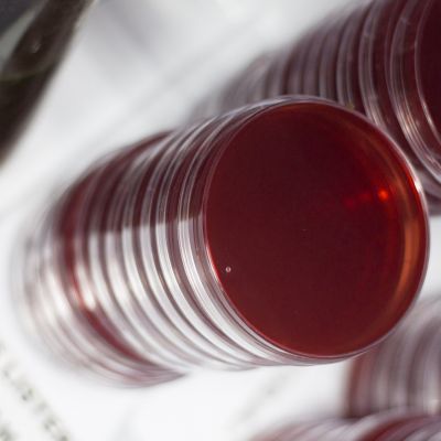 laboratorio de análisis