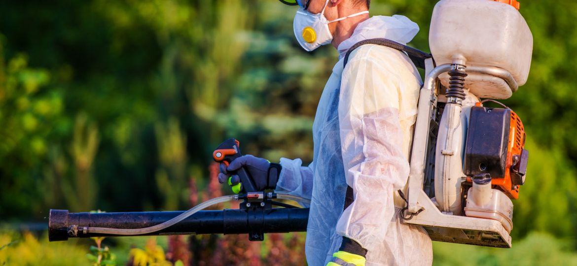 Hogares y trabajos libres de plagas