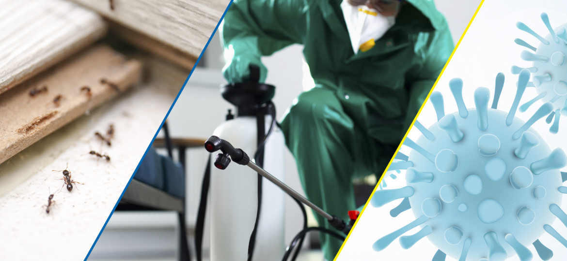 Calidad-alimentaria-del-oeste-desinfeccion